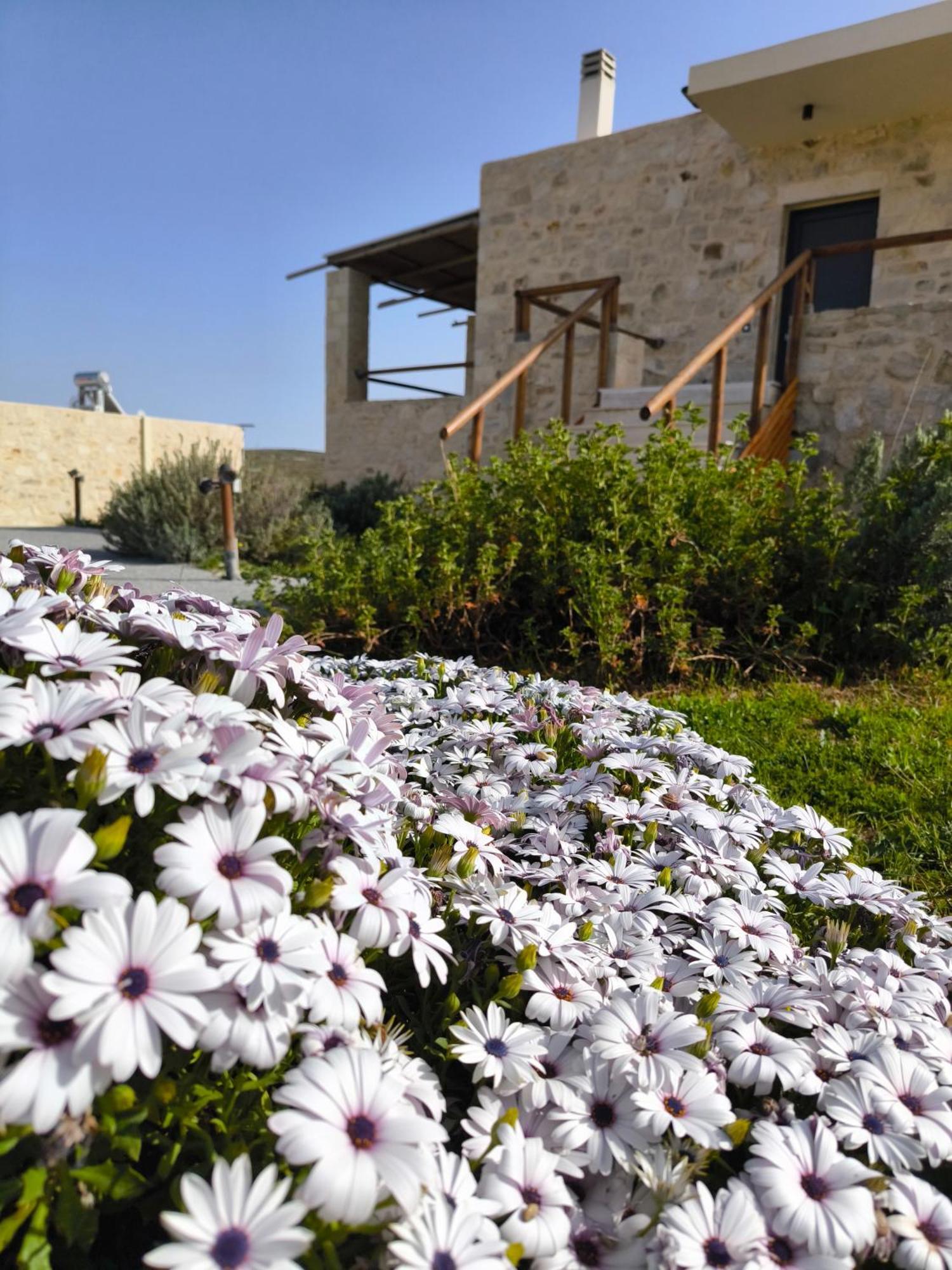 Alagni Cretan Resort מראה חיצוני תמונה